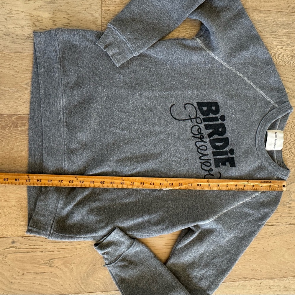 Rachel Antonoff Birdie Forever Rare Sweatshirt Grey Large - Picture 2 of 5